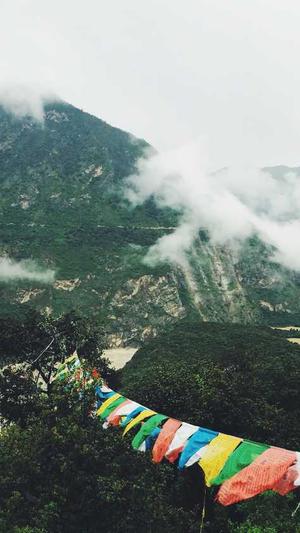 泛目录霸屏站群截图1