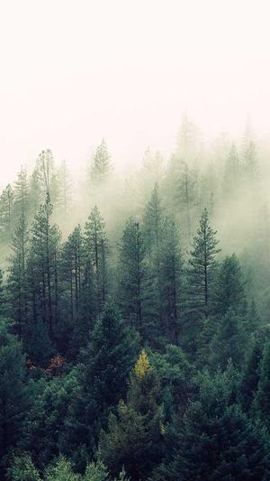 泛目录是什么分类截图1