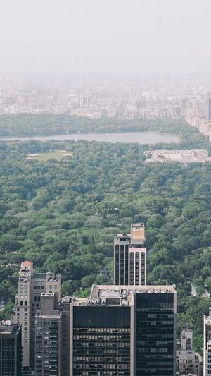 seo工具破解版截图4