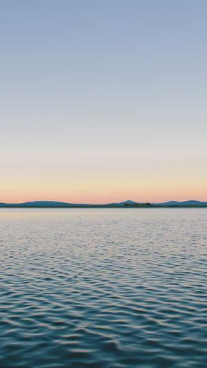 蜘蛛池2019截图3