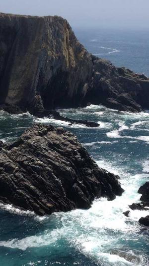 seo优化工具是什么截图3