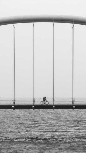 做抖音seo的工具有哪些截图1