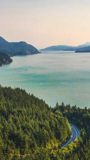 寄生虫不要蜘蛛池截图2