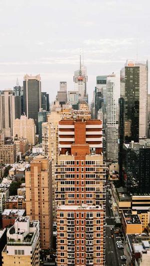 超级蜘蛛池域名截图3