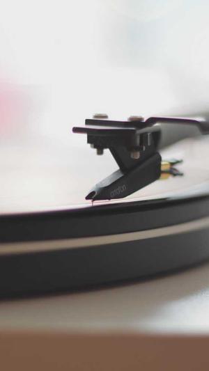 逐鹿泛目录站群完整源码截图5