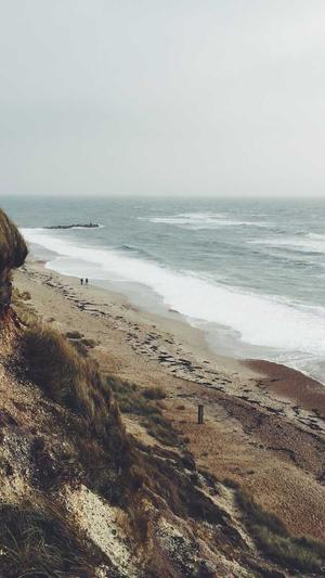 便宜的蜘蛛池截图2