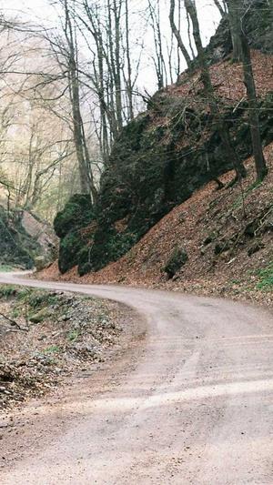 seo关键词排名优化截图3