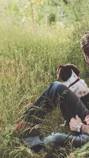 seo实战密码截图4