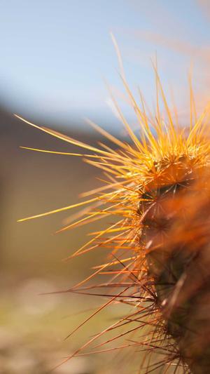 搜狗泛目录日收录截图2