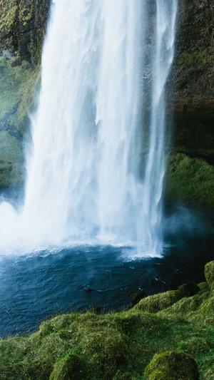 购买蜘蛛池一般多少钱截图1