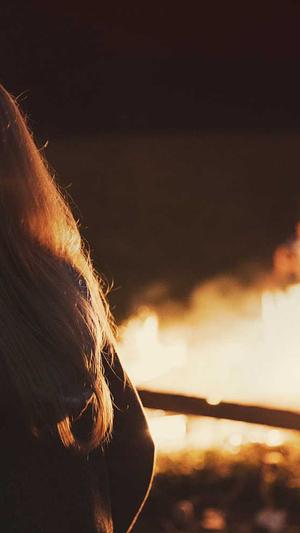 蜘蛛池是什么意思截图5