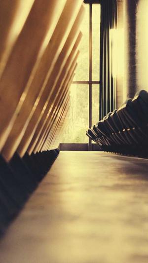 哈尔滨seo工具截图4