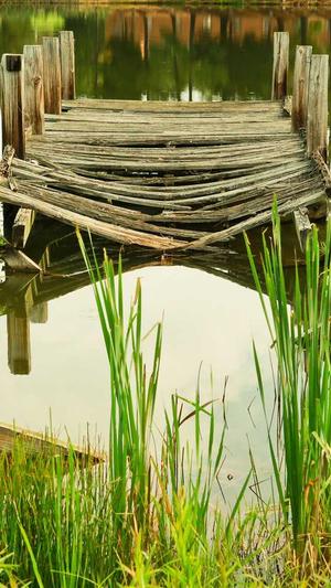 陕西蜘蛛池租用包月截图4