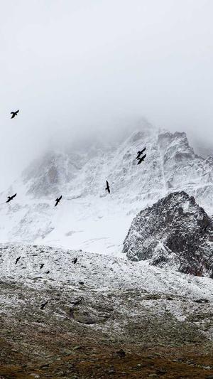 门户网站建设截图3