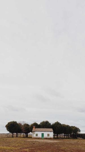 开县网站建设截图1