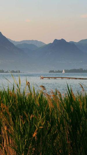 宁夏网站建设截图2