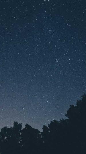 蜘蛛池程序源码截图1