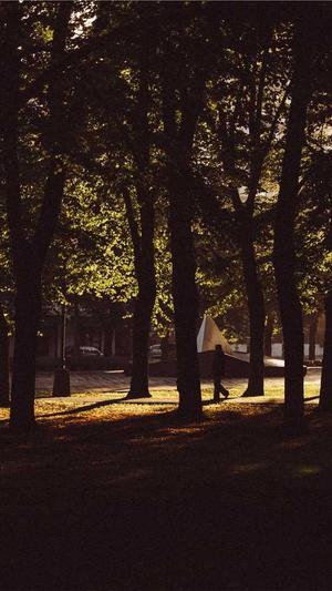 搜狗泛目录代做截图3