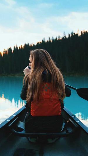 小型蜘蛛池购买截图1