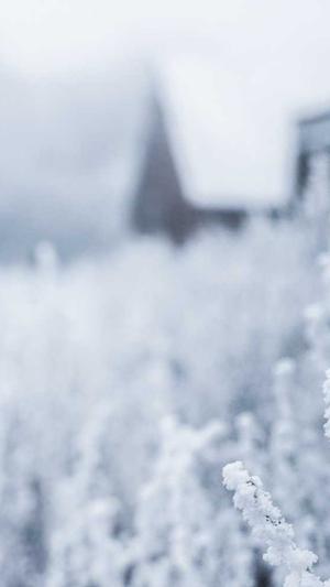 重庆seo优化效果好截图2