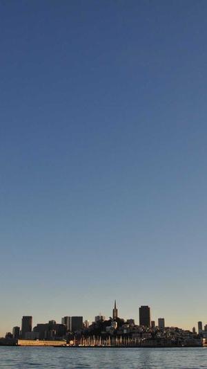 泛目录站群如何优化截图3