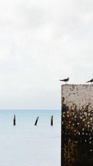 大庆网站建设公司截图1