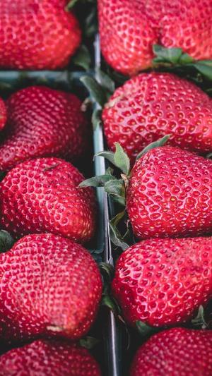 蜘蛛池是什么意思截图3