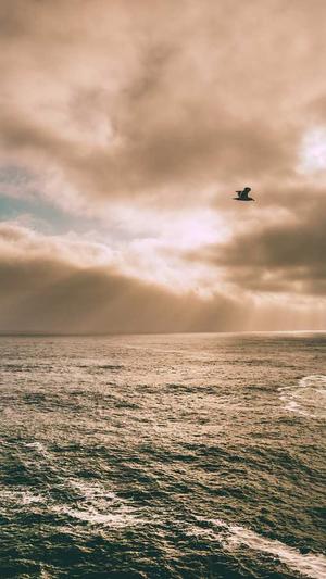 黑帽seo蜘蛛池截图5