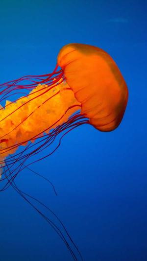 站群程序seo工具截图5