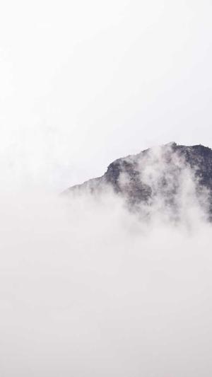 云南蜘蛛池租用包月截图4