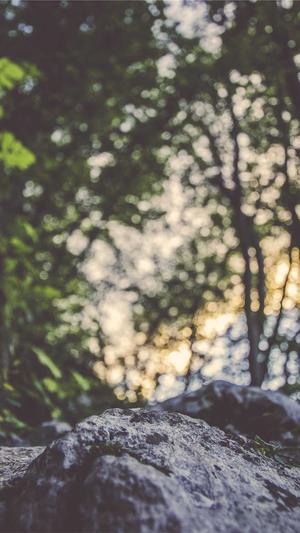 seo免费外链工具截图2