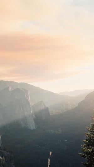 免费seo快速收录工具截图2