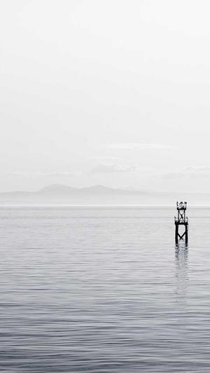 seo排名工具y上海百首网络截图4