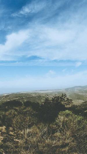 昆明seo优化公司截图1