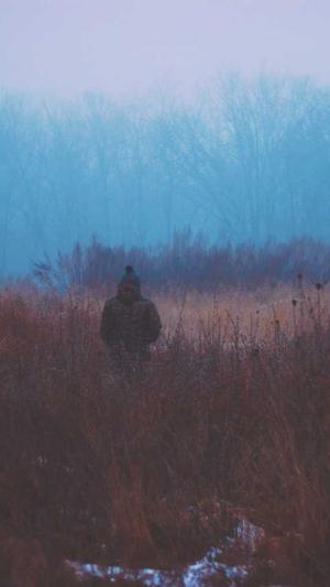 番禺网站建设截图2