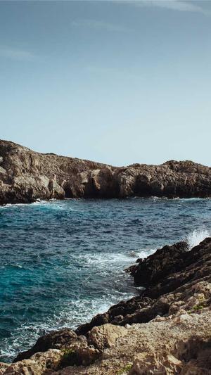 蜘蛛池外推教学截图1