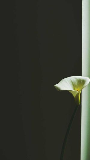 seo搜索引擎营销工具截图1