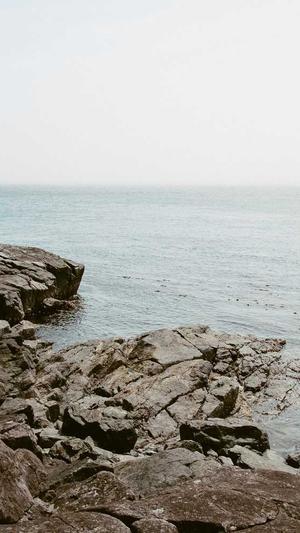 搜狗蜘蛛池代理截图2