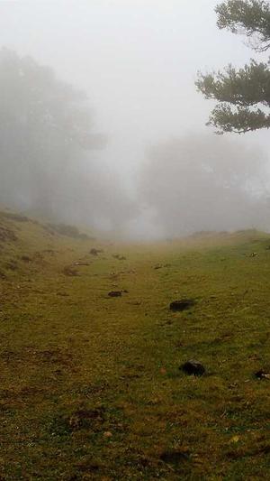 蜘蛛池2019截图2