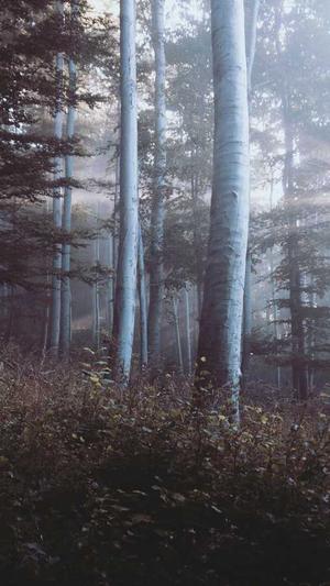 江苏360蜘蛛池出租截图1